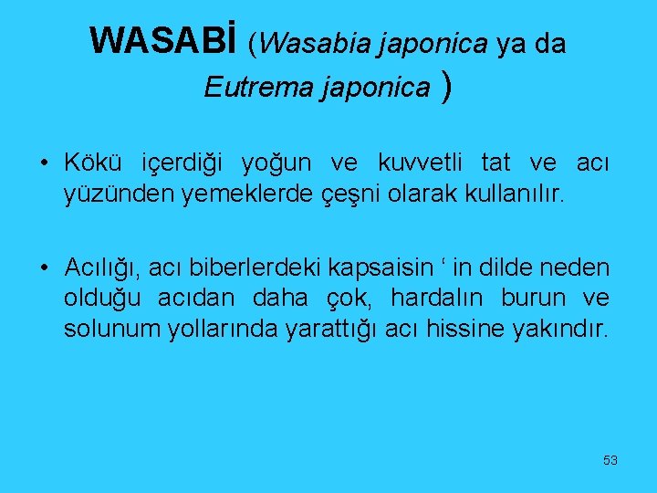 WASABİ (Wasabia japonica ya da Eutrema japonica ) • Kökü içerdiği yoğun ve kuvvetli