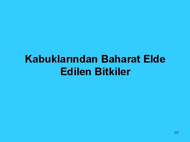 Kabuklarından Baharat Elde Edilen Bitkiler 60 