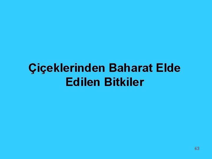 Çiçeklerinden Baharat Elde Edilen Bitkiler 63 