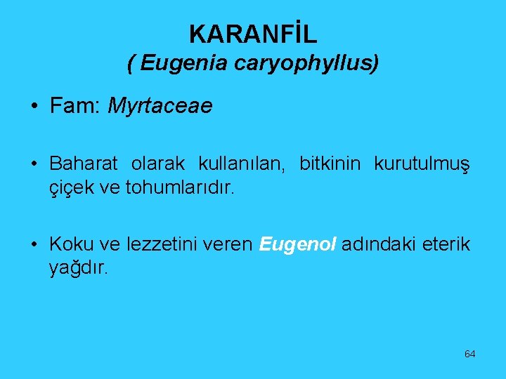 KARANFİL ( Eugenia caryophyllus) • Fam: Myrtaceae • Baharat olarak kullanılan, bitkinin kurutulmuş çiçek