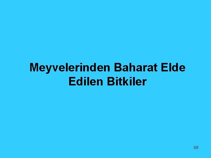 Meyvelerinden Baharat Elde Edilen Bitkiler 68 