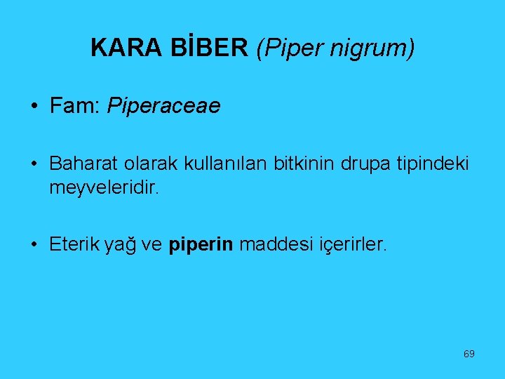 KARA BİBER (Piper nigrum) • Fam: Piperaceae • Baharat olarak kullanılan bitkinin drupa tipindeki