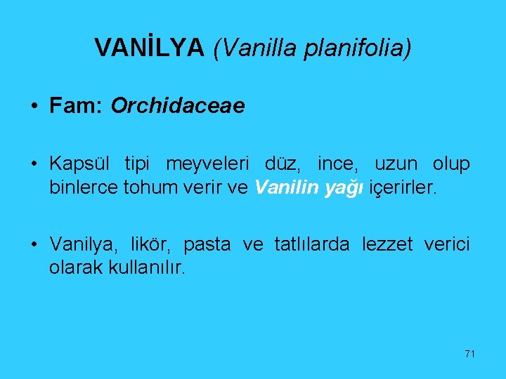 VANİLYA (Vanilla planifolia) • Fam: Orchidaceae • Kapsül tipi meyveleri düz, ince, uzun olup