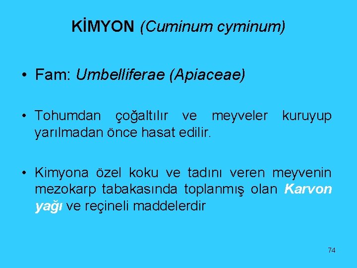 KİMYON (Cuminum cyminum) • Fam: Umbelliferae (Apiaceae) • Tohumdan çoğaltılır ve meyveler yarılmadan önce