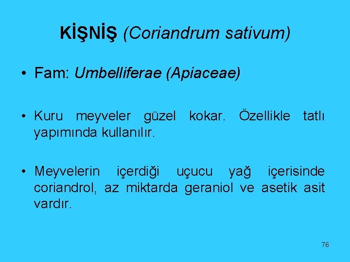 KİŞNİŞ (Coriandrum sativum) • Fam: Umbelliferae (Apiaceae) • Kuru meyveler güzel kokar. Özellikle tatlı