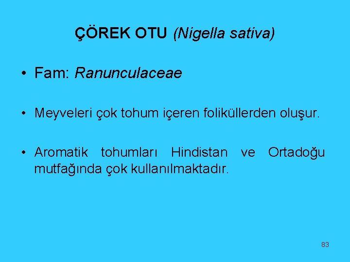 ÇÖREK OTU (Nigella sativa) • Fam: Ranunculaceae • Meyveleri çok tohum içeren foliküllerden oluşur.