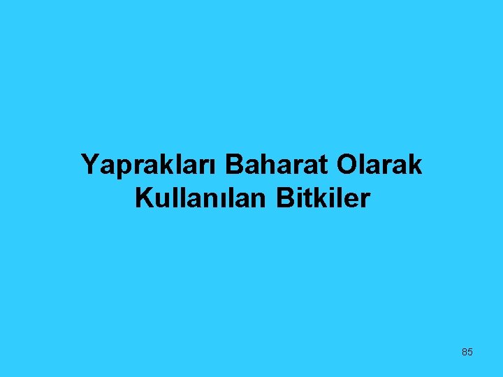 Yaprakları Baharat Olarak Kullanılan Bitkiler 85 