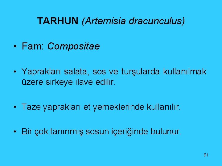 TARHUN (Artemisia dracunculus) • Fam: Compositae • Yaprakları salata, sos ve turşularda kullanılmak üzere