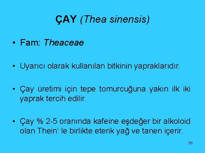 ÇAY (Thea sinensis) • Fam: Theaceae • Uyarıcı olarak kullanılan bitkinin yapraklarıdır. • Çay