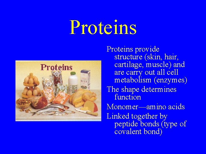 Proteins provide structure (skin, hair, cartilage, muscle) and are carry out all cell metabolism