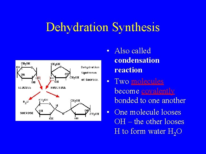 Dehydration Synthesis • Also called condensation reaction • Two molecules become covalently bonded to