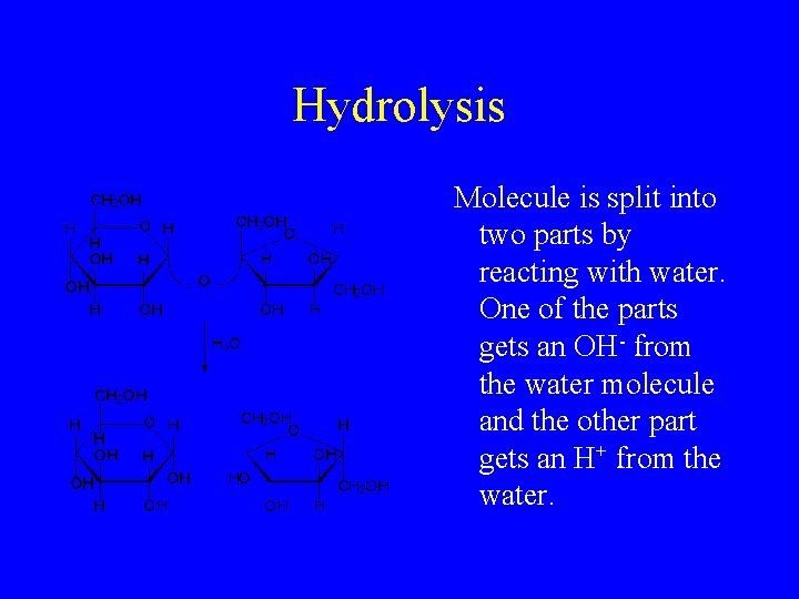 Hydrolysis Molecule is split into two parts by reacting with water. One of the