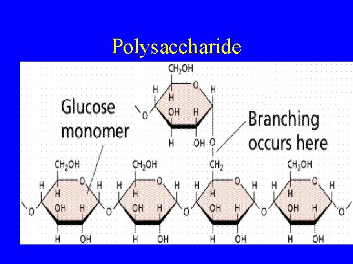 Polysaccharide 