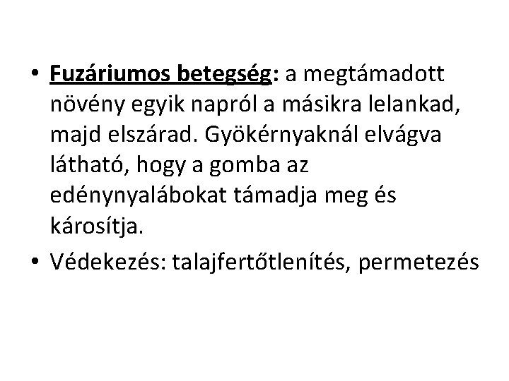  • Fuzáriumos betegség: a megtámadott növény egyik napról a másikra lelankad, majd elszárad.