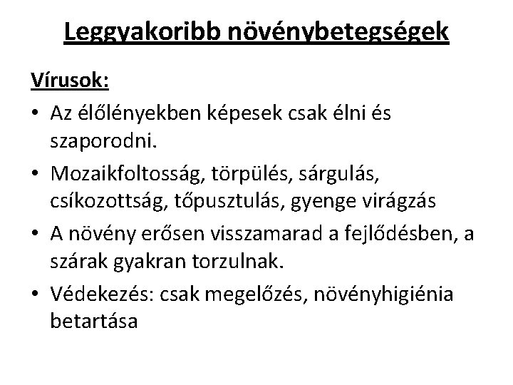 Leggyakoribb növénybetegségek Vírusok: • Az élőlényekben képesek csak élni és szaporodni. • Mozaikfoltosság, törpülés,