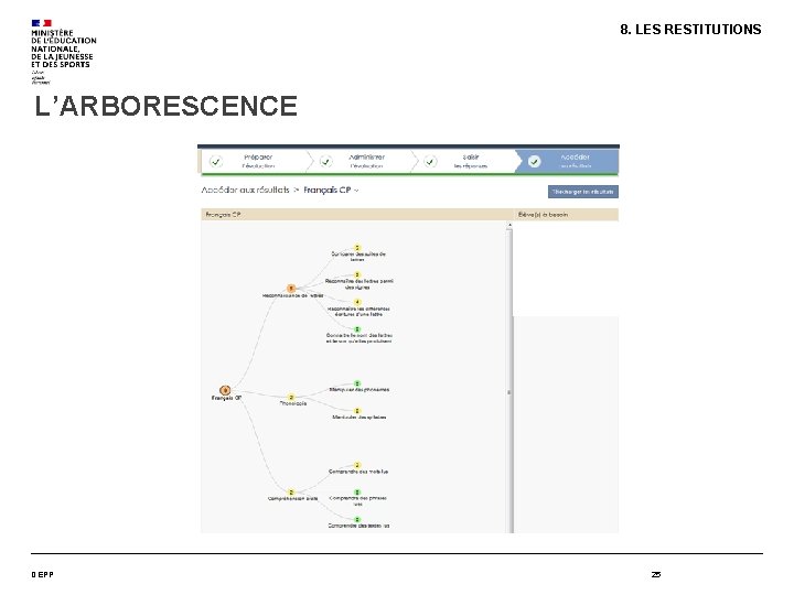 8. LES RESTITUTIONS L’ARBORESCENCE DEPP 25 