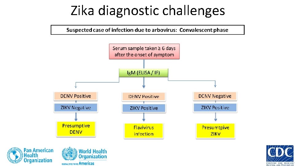 Zika diagnostic challenges 