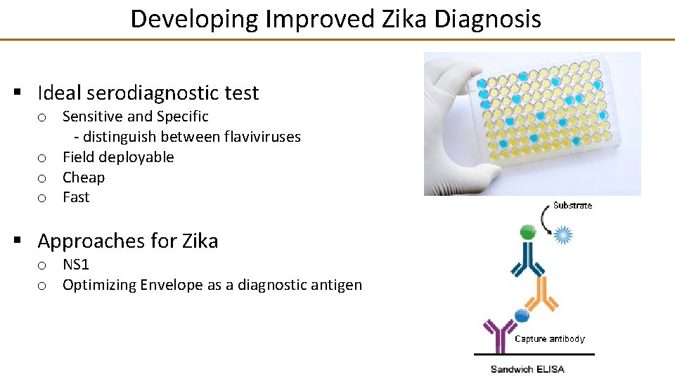 Developing Improved Zika Diagnosis § Ideal serodiagnostic test o Sensitive and Specific - distinguish