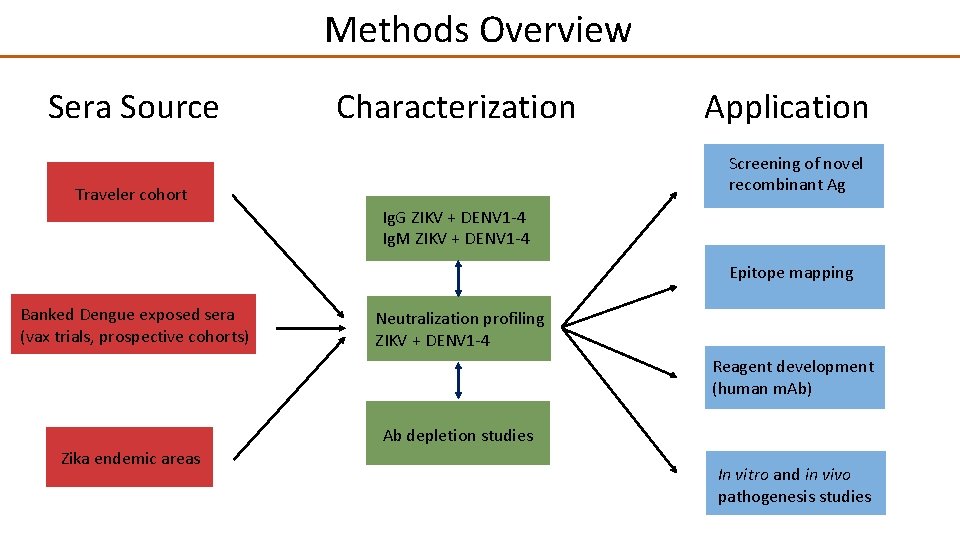 Methods Overview Sera Source Characterization Application Screening of novel recombinant Ag Traveler cohort Ig.