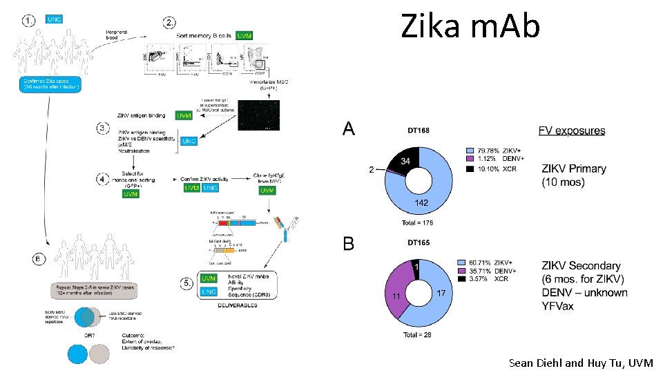 Zika m. Ab Sean Diehl and Huy Tu, UVM 