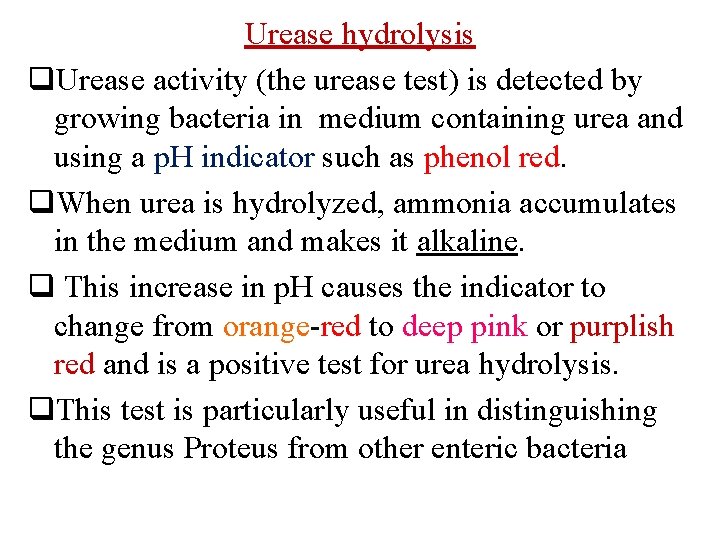 Urease hydrolysis q. Urease activity (the urease test) is detected by growing bacteria in