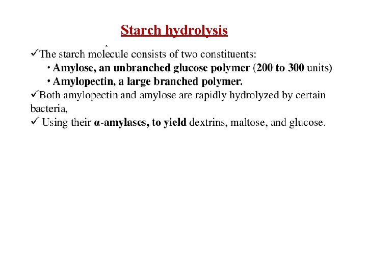 Starch hydrolysis 