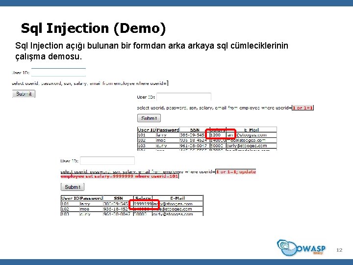 Sql Injection (Demo) Sql Injection açığı bulunan bir formdan arkaya sql cümleciklerinin çalışma demosu.