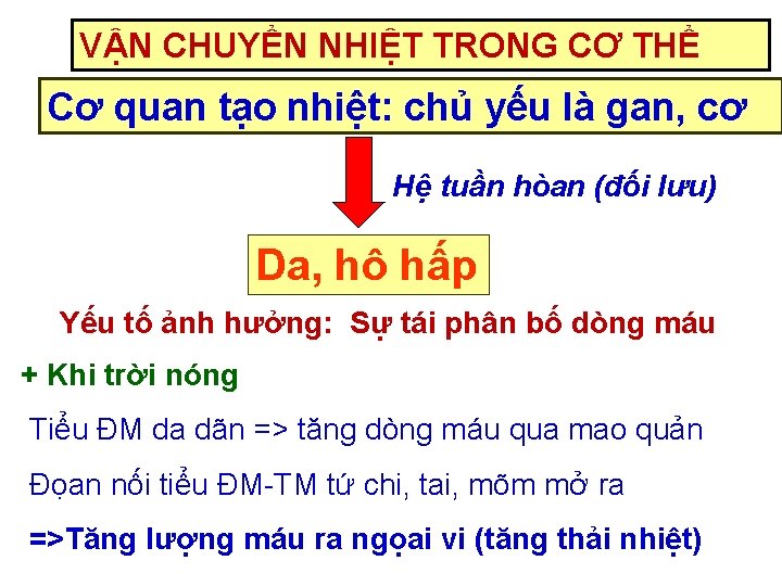 VẬN CHUYỂN NHIỆT TRONG CƠ THỂ Cơ quan tạo nhiệt: chủ yếu là gan,