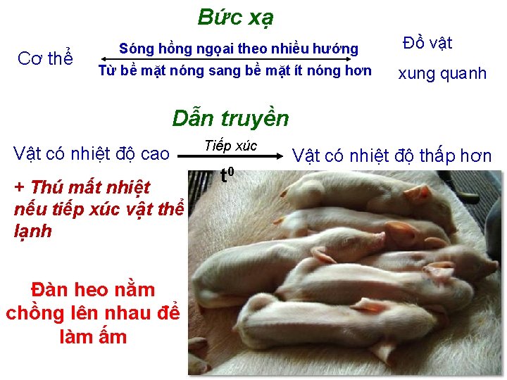 Bức xạ Cơ thể Sóng hồng ngọai theo nhiều hướng Từ bề mặt nóng