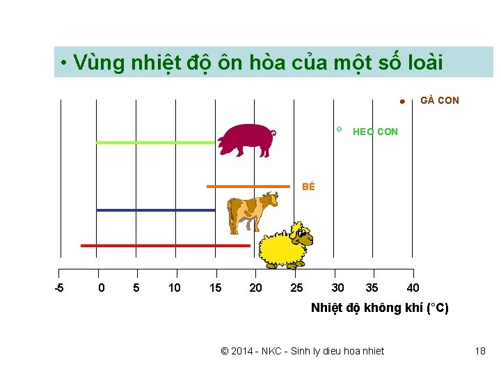  • Vùng nhiệt độ ôn hòa của một số loài GÀ CON HEO