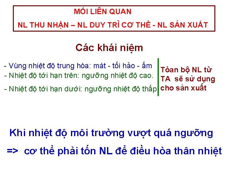 MỐI LIÊN QUAN NL THU NHẬN – NL DUY TRÌ CƠ THỂ - NL