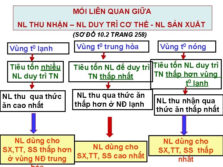 MỐI LIÊN QUAN GIỮA NL THU NHẬN – NL DUY TRÌ CƠ THỂ -