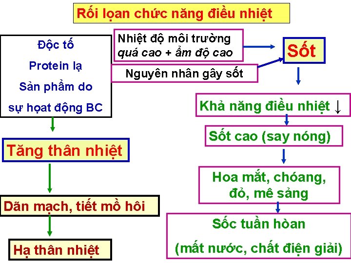 Rối lọan chức năng điều nhiệt Độc tố Nhiệt độ môi trường quá cao