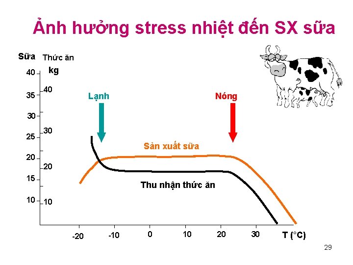 Ảnh hưởng stress nhiệt đến SX sữa Sữa Thức ăn kg 40 35 40