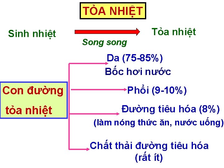 TỎA NHIỆT Sinh nhiệt Tỏa nhiệt Song song Da (75 -85%) Bốc hơi nước