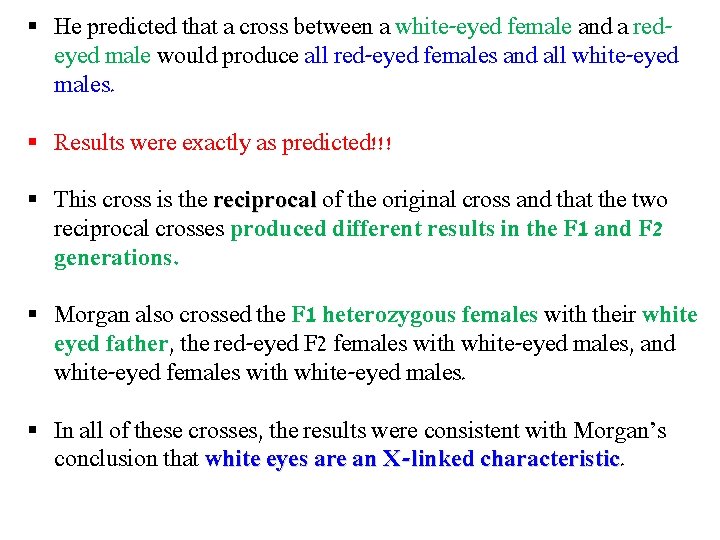 § He predicted that a cross between a white-eyed female and a redeyed male