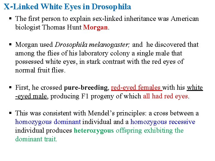 X-Linked White Eyes in Drosophila § The first person to explain sex-linked inheritance was