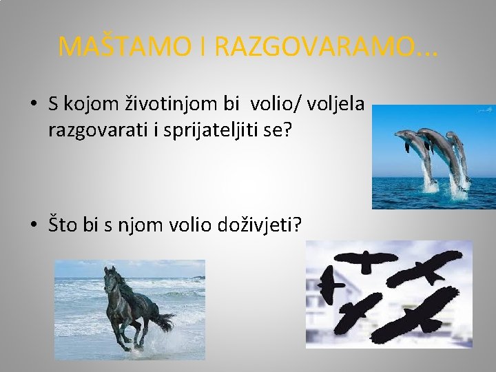 MAŠTAMO I RAZGOVARAMO. . . • S kojom životinjom bi volio/ voljela razgovarati i