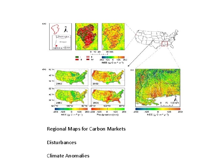 Regional Maps for Carbon Markets Disturbances Climate Anomalies 
