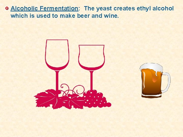 Alcoholic Fermentation: The yeast creates ethyl alcohol which is used to make beer and