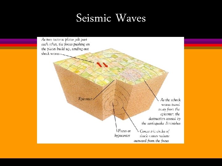 Seismic Waves 