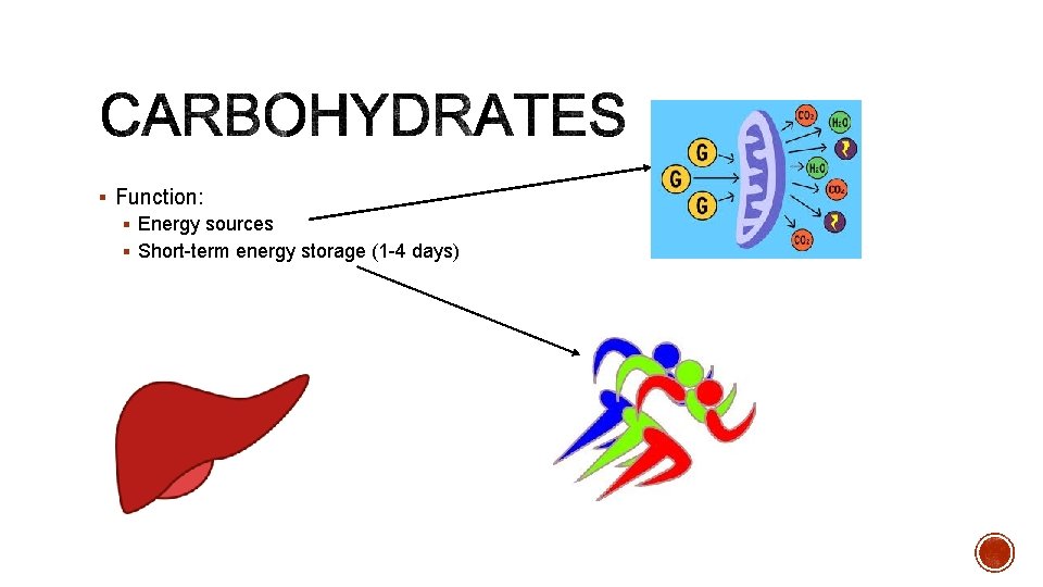 § Function: § Energy sources § Short-term energy storage (1 -4 days) 