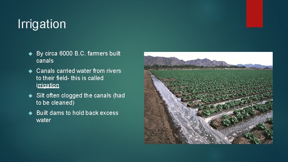 Irrigation By circa 6000 B. C. farmers built canals Canals carried water from rivers