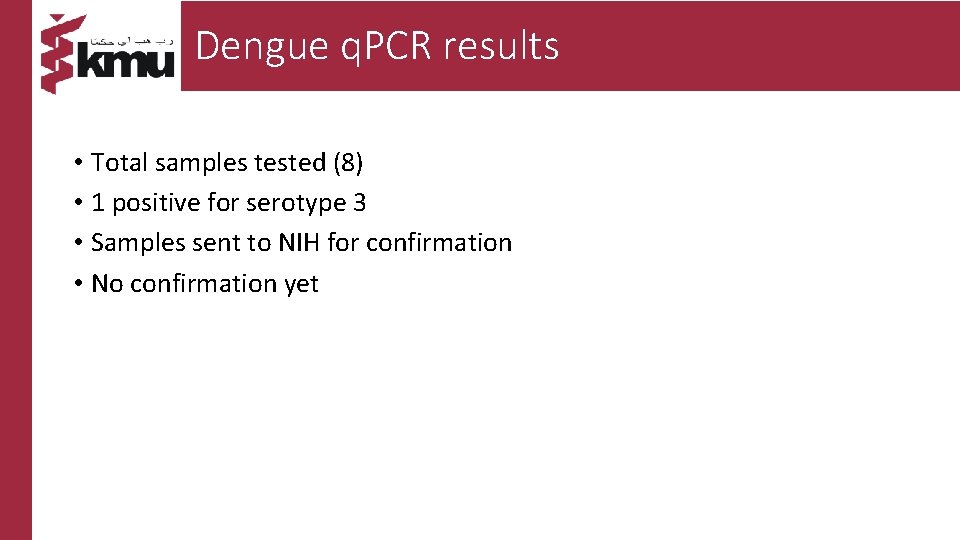 Dengue q. PCR results • Total samples tested (8) • 1 positive for serotype