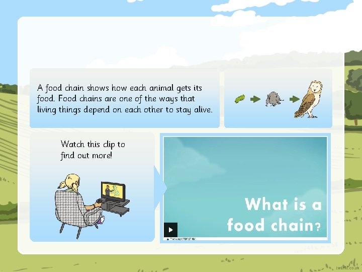 A food chain shows how each animal gets its food. Food chains are one