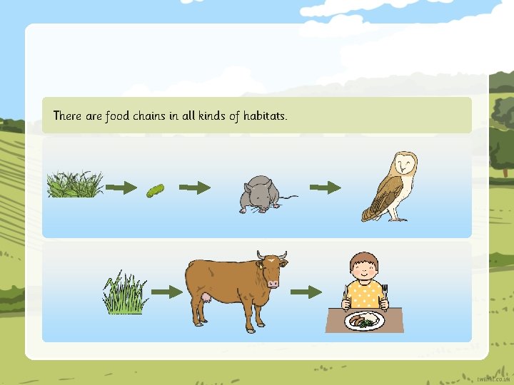 There are food chains in all kinds of habitats. 