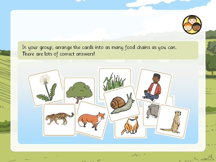 In your group, arrange the cards into as many food chains as you can.