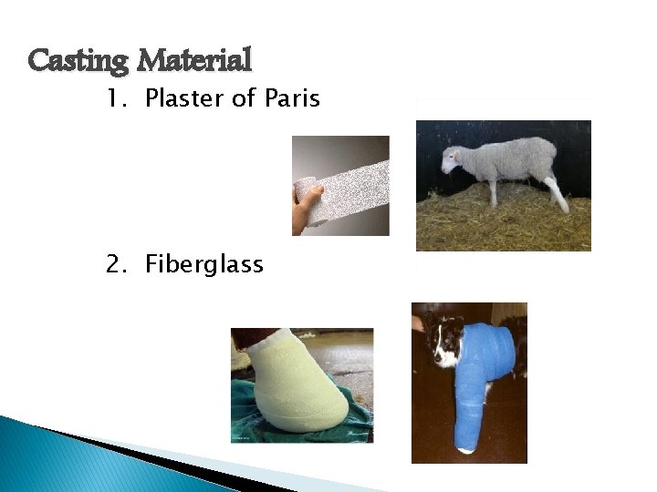 Casting Material 1. Plaster of Paris 2. Fiberglass 