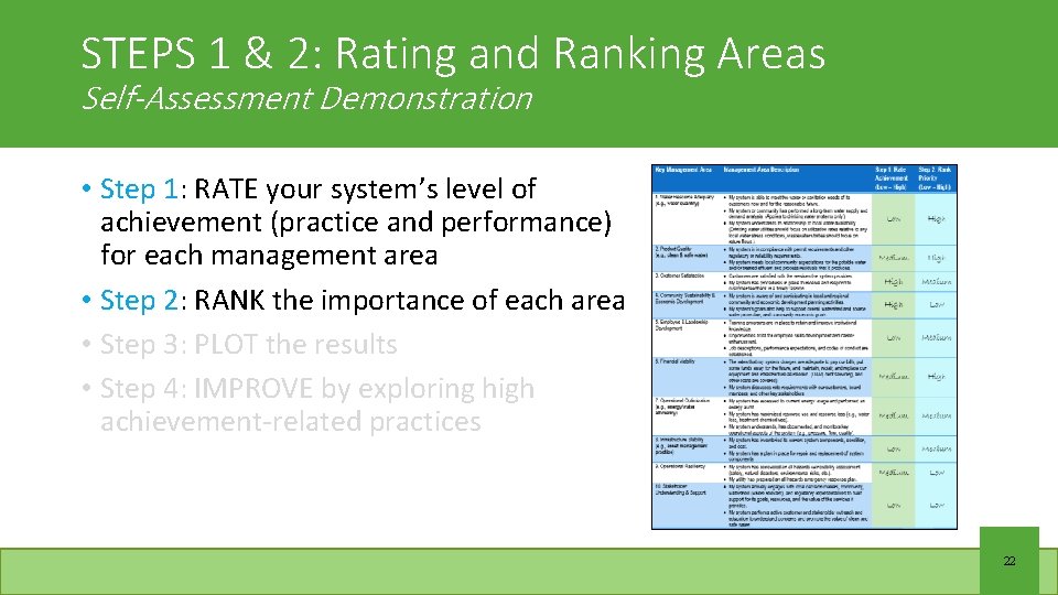 STEPS 1 & 2: Rating and Ranking Areas Self-Assessment Demonstration • Step 1: RATE