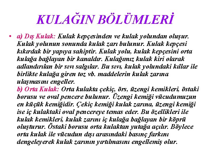 KULAĞIN BÖLÜMLERİ • a) Dış Kulak: Kulak kepçesinden ve kulak yolundan oluşur. Kulak yolunun